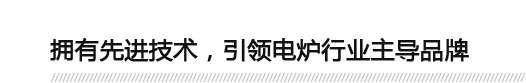 擁有先進(jìn)技術(shù)，引領(lǐng)電爐行業(yè)主導(dǎo)品牌